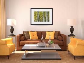 Autumn Aspen Tree Trunks In Their Glory Art Print