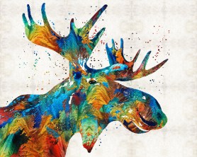 ColorfulMooseFB