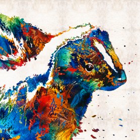 ColorfulSkunkFB