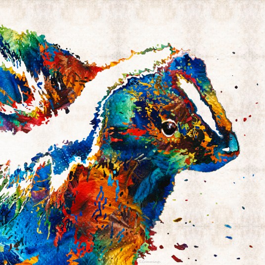ColorfulSkunkFB