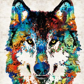 ColorfulWolfFB