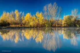 Coot Lake Autumn Reflections Art Print