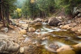 Down Stream Nature Art Print