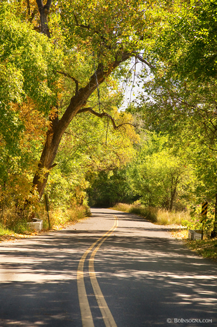 Follow the Yellow Lines