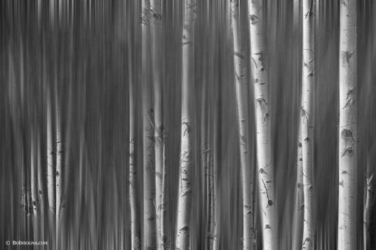 Somewhere Along the Road Dreaming Black and White Art