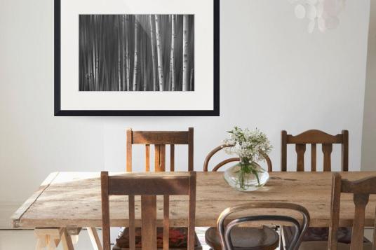 Somewhere Along the Road Dreaming Black and White Art