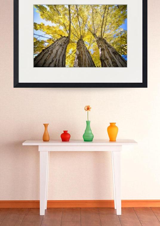 Golden Maple Standing Tall Art Print