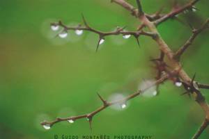 10409516_681264985305775_2027955464108465727_n