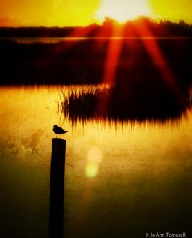 A RAY OF HOPE SUNRISE SUNSET IMAGE ART