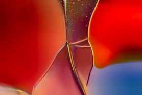 Ballerina Abstract Macro Glass Photography by Omaste Witkowski owFotoGrafik.com