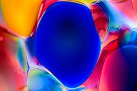 Blue Fish Abstract Macro Glass Photography by Omaste WItkowski owFotoGrafik.com