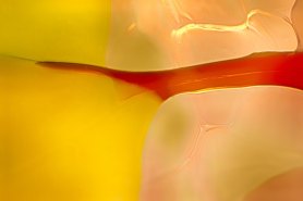 Branches of Light Abstract Macro Glass Photography-by Omaste Witkowski owFotoGrafik.com