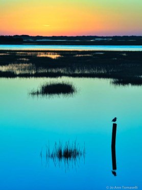 Buy Chelsea Morning Sunrise Sunset Image Art Online