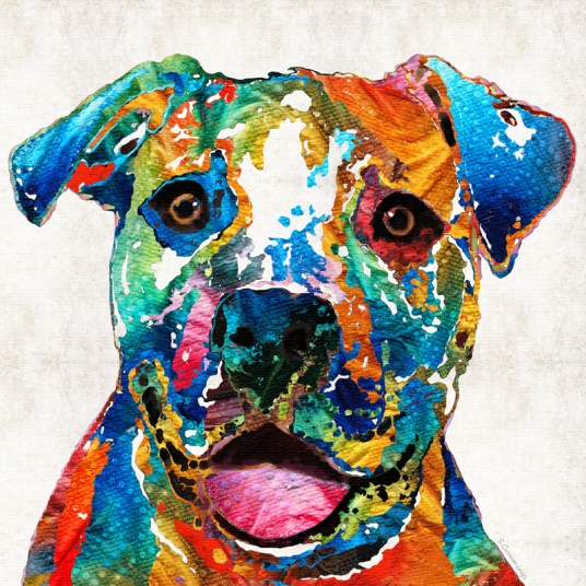 ColorfulPitbullFB