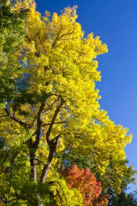  Green Orange Yellow And Blue Photography Prints