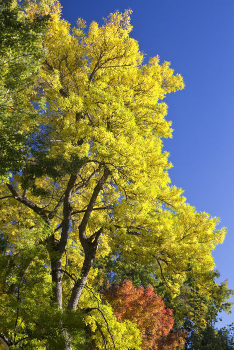  Green Orange Yellow And Blue Photography Prints