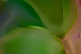 Loving Dolphins Abstract Macro Glass Art by Omaste Witkowski owFotoGrafik.com