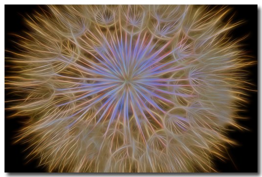 Psychedelic Dandelion Art Prints