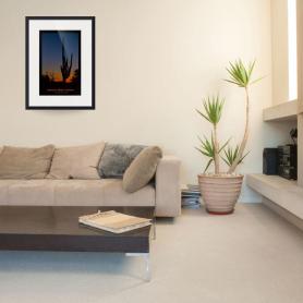 Sonoran Desert Sunrise Poster Print Framed Print