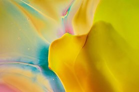 Tinkerbell by Omaste Witkowski owFotoGrafik