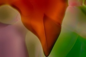 Woody The Woodpecker Abstract Macro Glass Artwork by Omaste Witkowski
