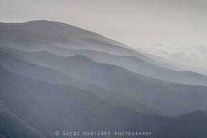 10891962_684302285002045_8759762740212463394_n