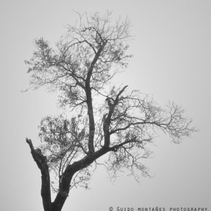 16803749_13479827_lz