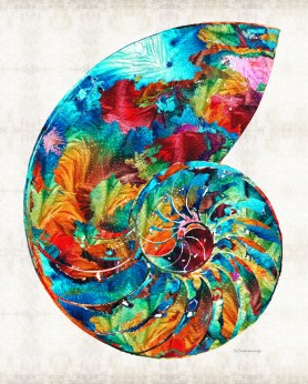 ColorfulNautilusFB