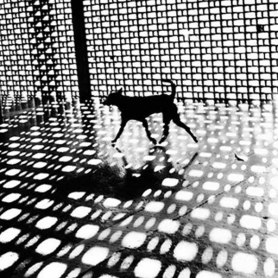 christopher anderson