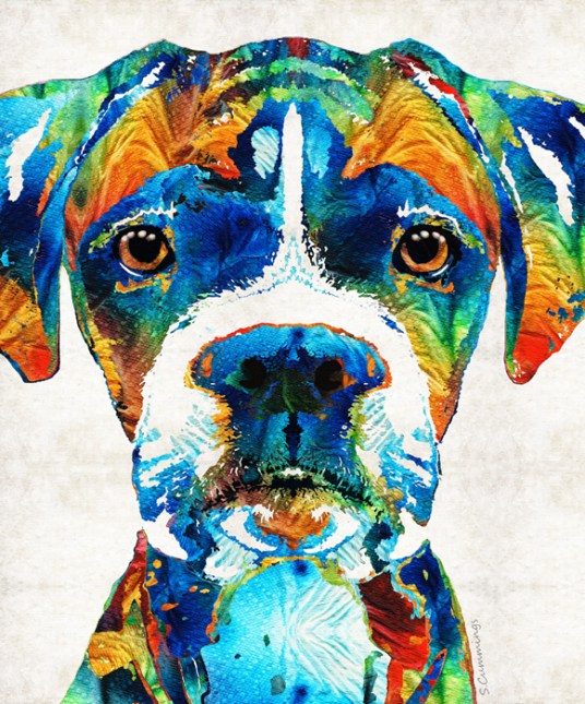 ColorfulBoxerFB