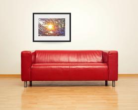 Snowy-Tree-Branches-and-Sunshine_art