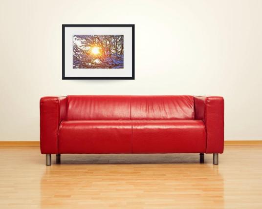 Snowy-Tree-Branches-and-Sunshine_art