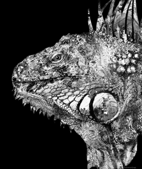 Screenshot 2015-06-16 13.48.26