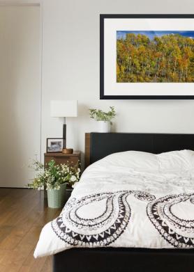 Autumn-Aspen-Tree-Forest-Layers-Of-Colors_art print