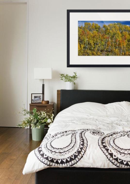 Autumn-Aspen-Tree-Forest-Layers-Of-Colors_art print