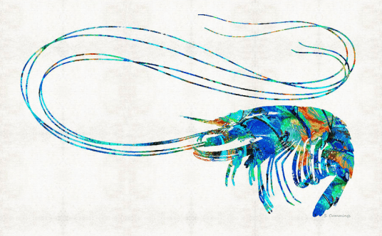 Screen Shot 2015-10-13 at 12.09.57 PM