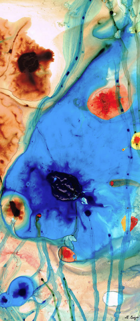 Screen Shot 2015-12-14 at 2.26.46 PM