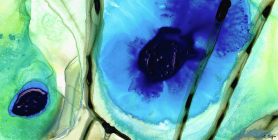 Screen Shot 2015-12-17 at 9.26.48 AM