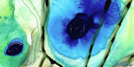 Screen Shot 2015-12-17 at 9.26.48 AM