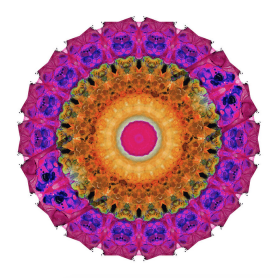 Screen Shot 2016-01-04 at 8.22.34 AM