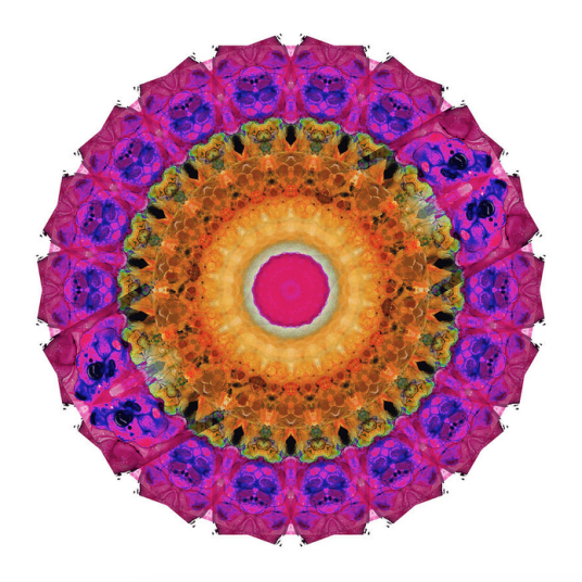 Screen Shot 2016-01-04 at 8.22.34 AM