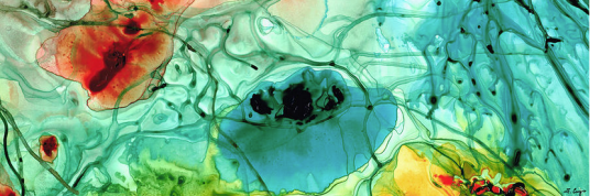 Screen Shot 2016-01-12 at 12.59.14 PM