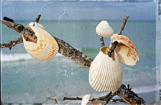 Screen Shot 2016-01-25 at 10.02.17 AM