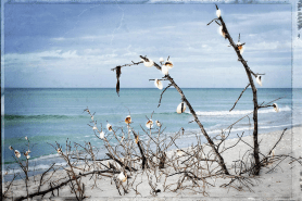 Screen Shot 2016-01-25 at 10.02.54 AM