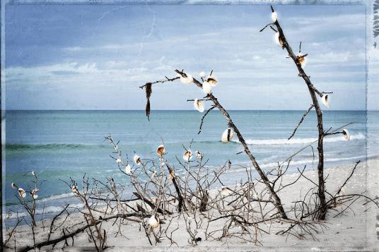 Screen Shot 2016-01-25 at 10.02.54 AM