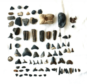 Screen Shot 2016-04-04 at 1.11.20 PM