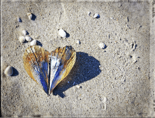 Screen Shot 2016-04-13 at 9.51.43 AM