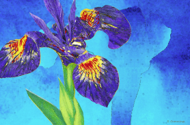 Screen Shot 2016-04-22 at 8.39.10 AM