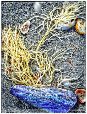 Screen Shot 2016-05-03 at 7.44.59 AM