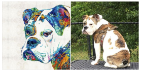 Screen Shot 2016-05-16 at 4.16.09 PM